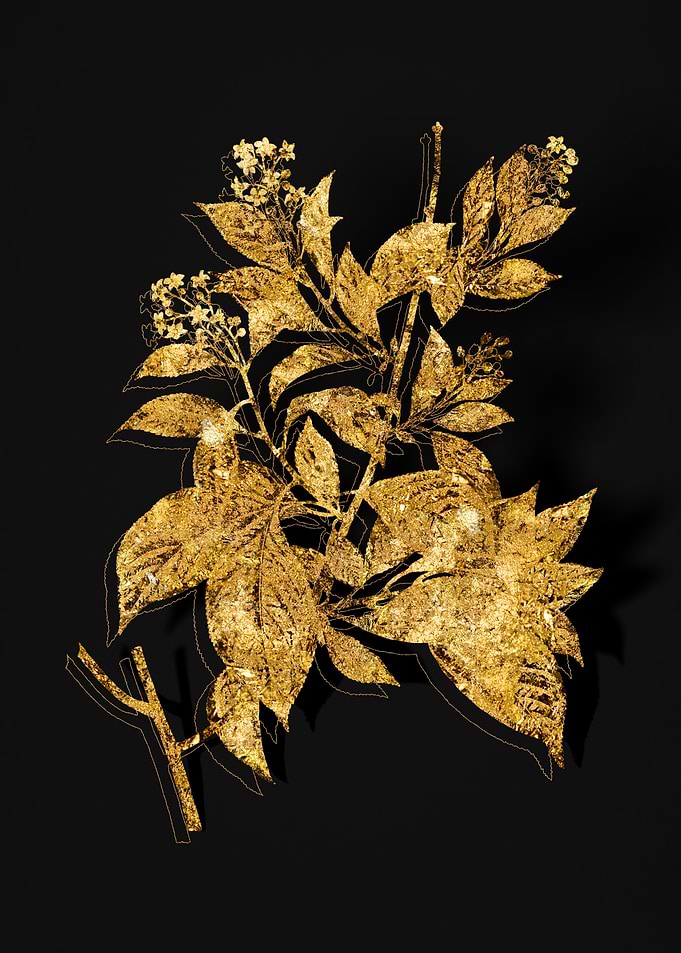 Gold Flora on Black
