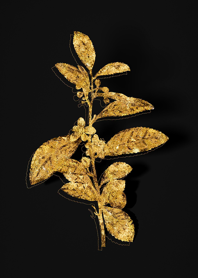 Gold Floral on Black