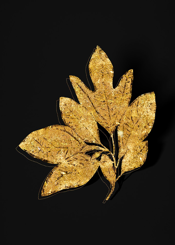 Gold Flora on Black
