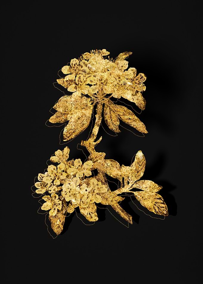 Gold Flora on Black