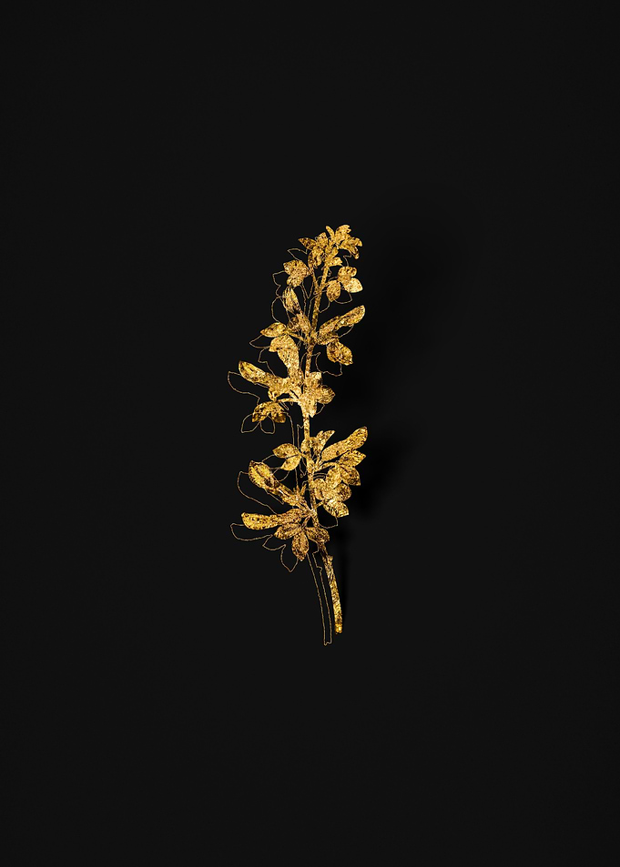 Gold Botanical on Black