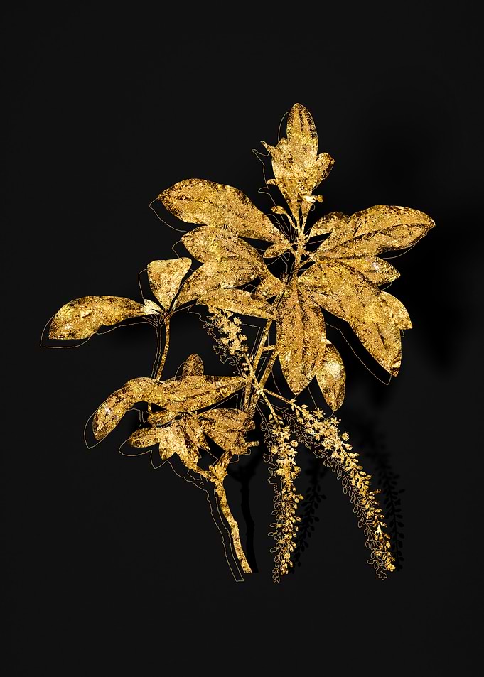 Gold Floral on Black