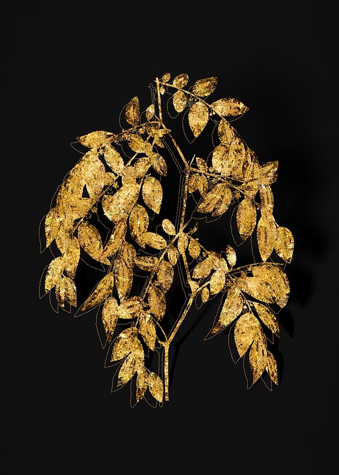 Gold Flora on Black