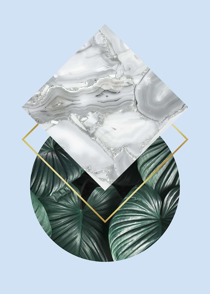 Natural polygon V