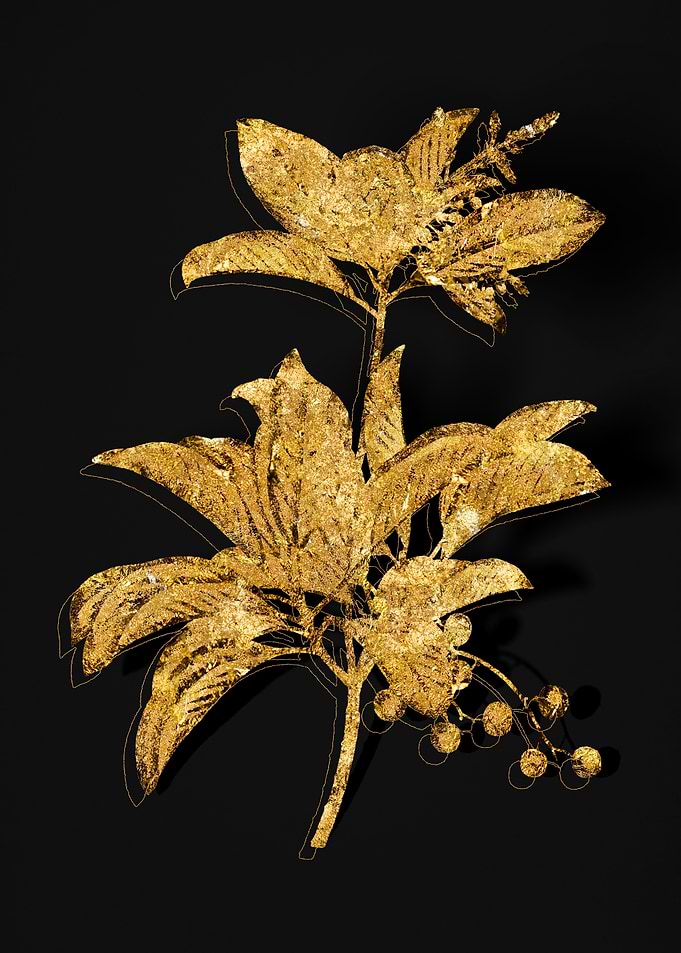 Gold Flora on Black