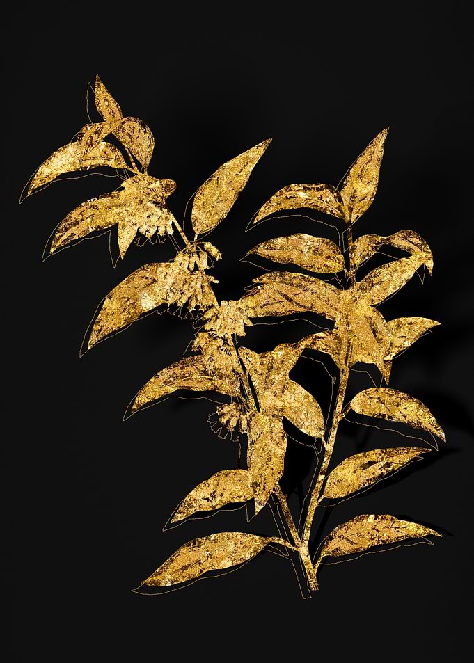 Gold Flora on Black