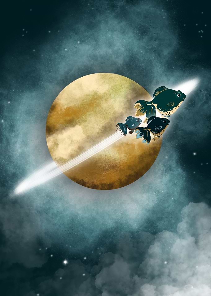 Celestial Fishbowl