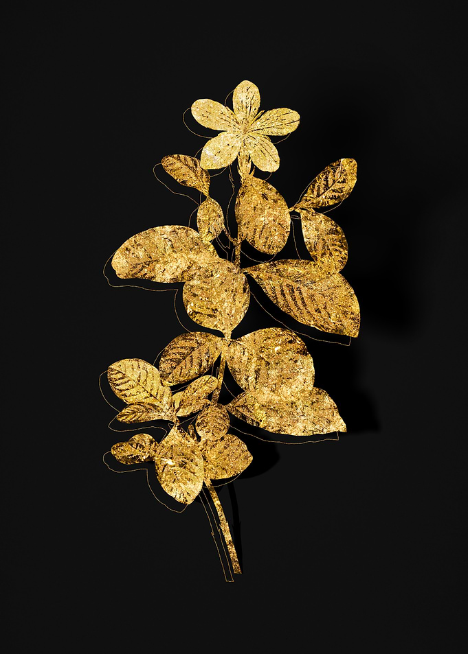 Gold Flora on Black