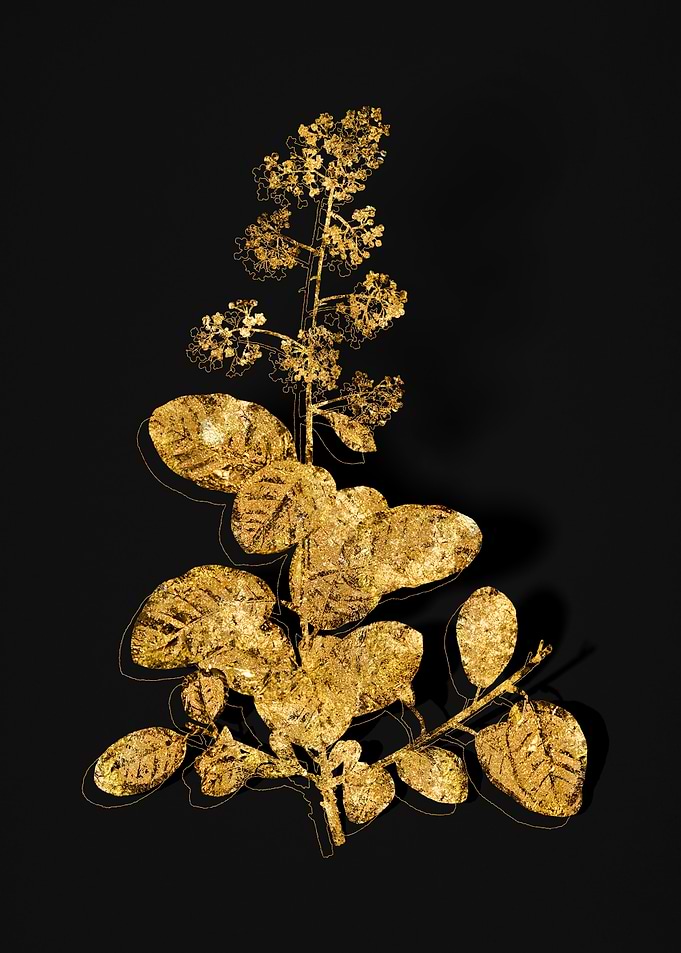 Gold Flora on Black