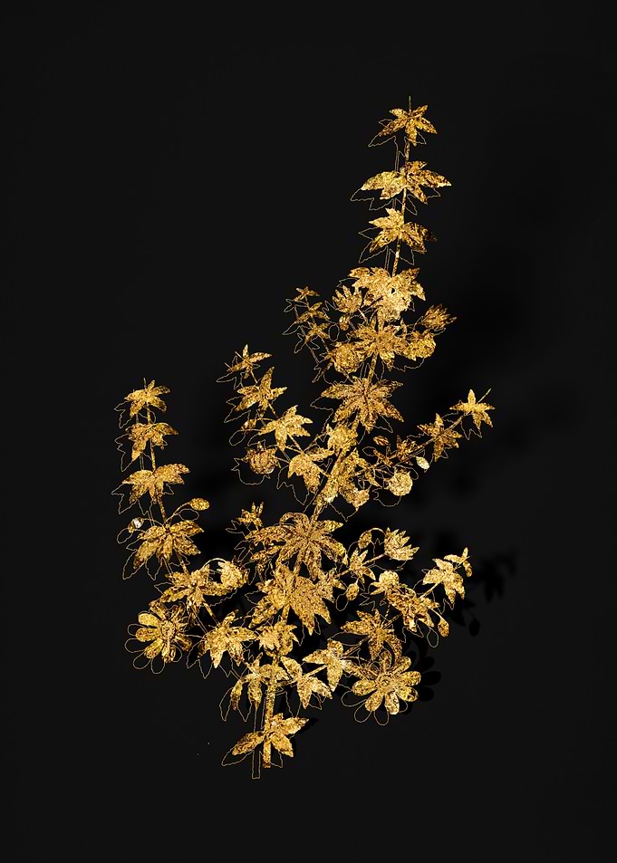 Gold Botanical on Black