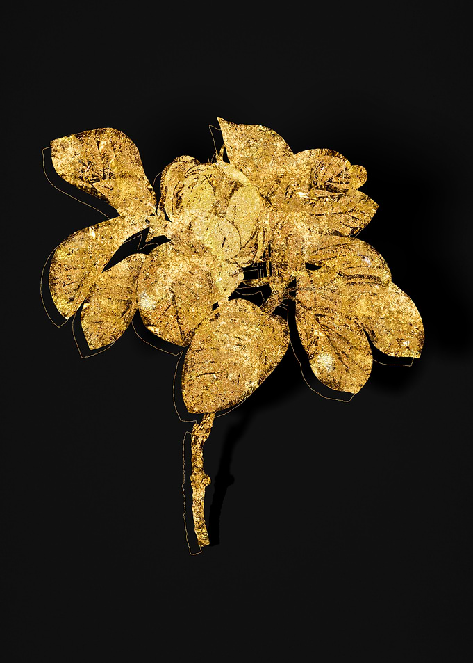Gold Botanical on Black