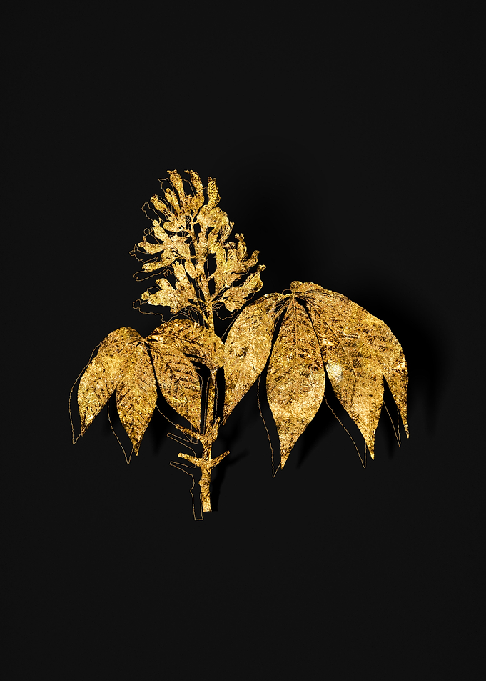 Gold Botanical on Black