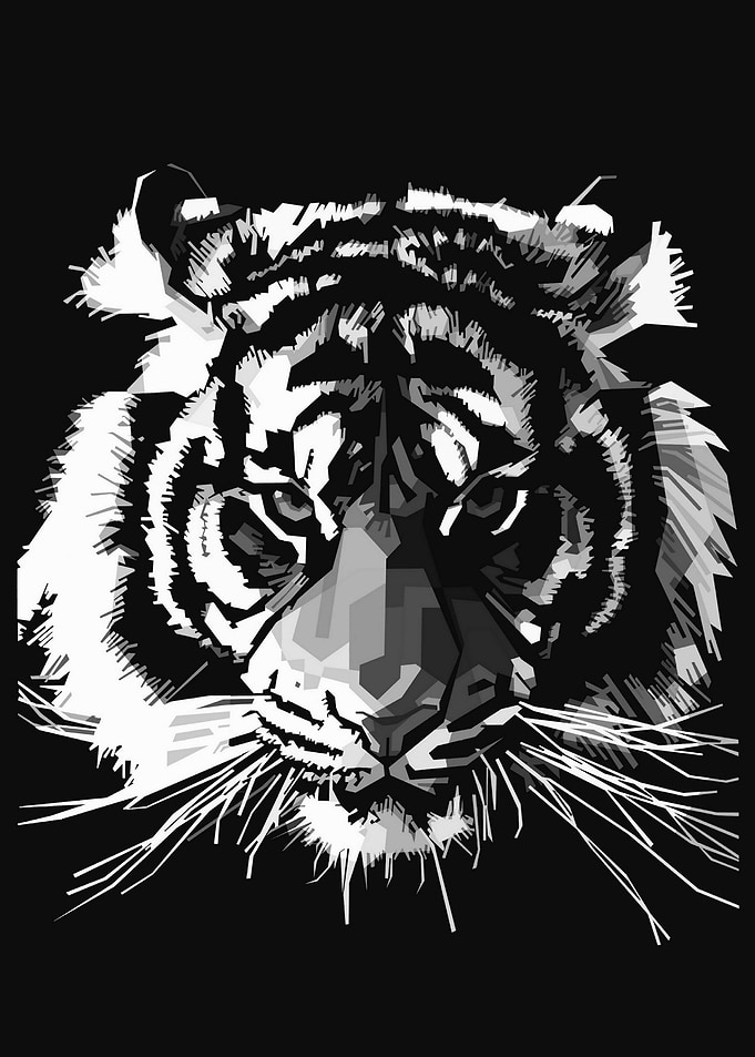 tiger in grayscale