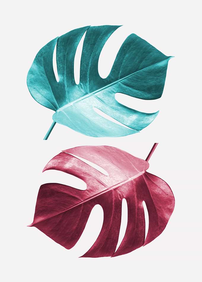 Tropical leaves I
