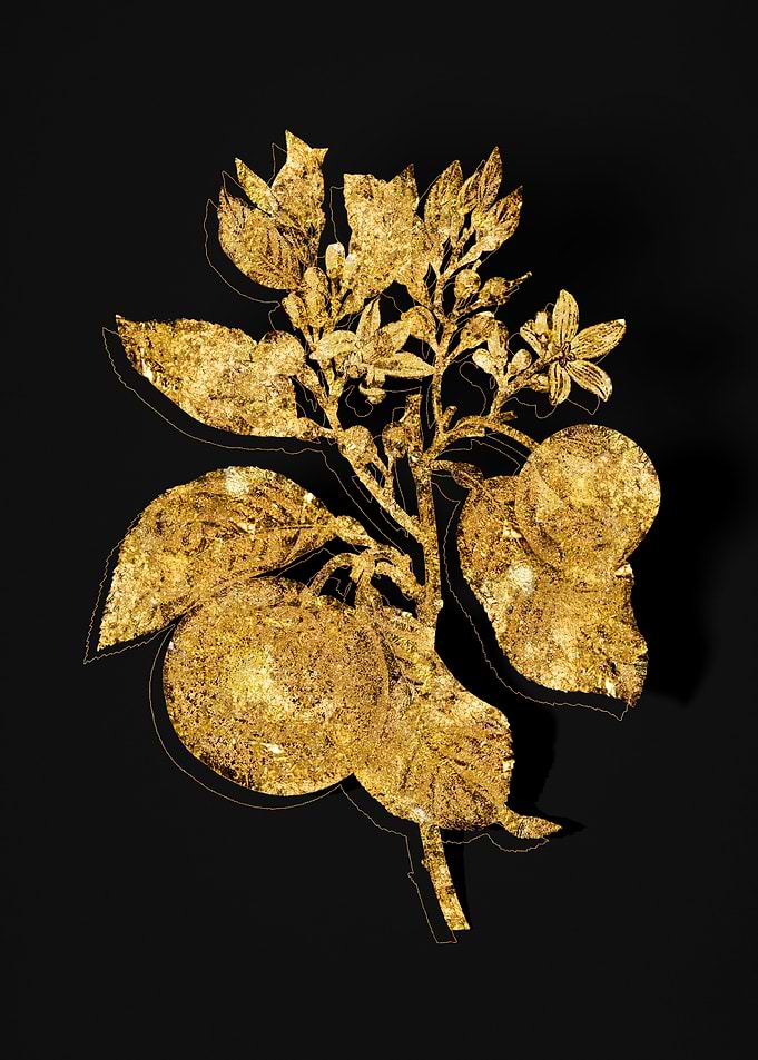 Gold Flora on Black