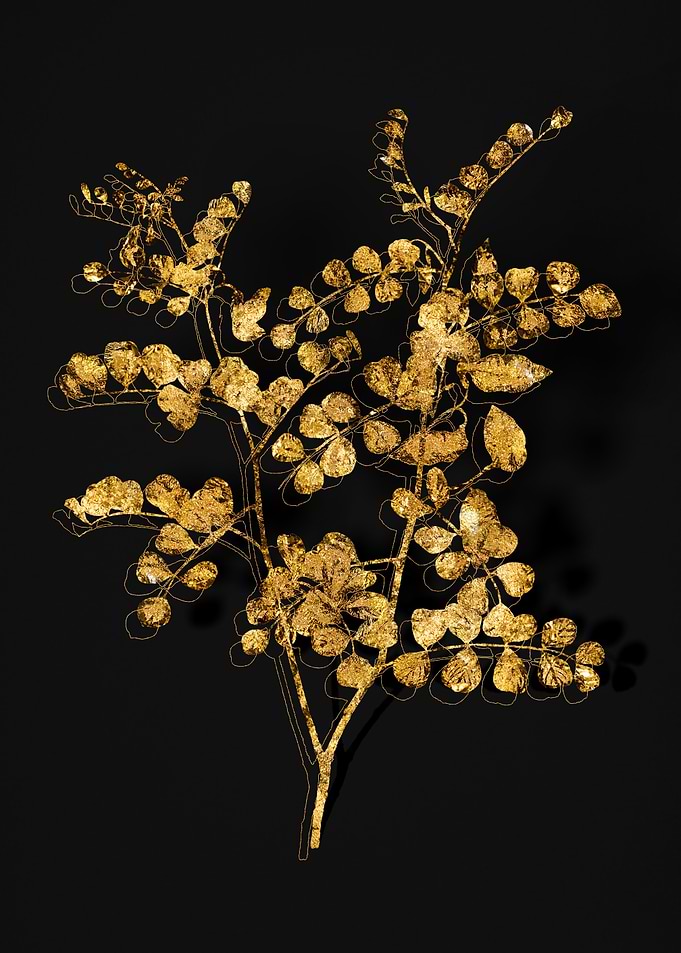 Gold Flora on Black