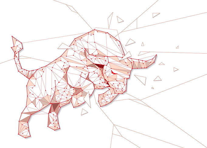 Bull geometric pattern