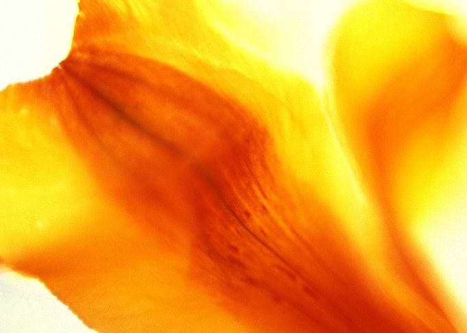 Untitled 356