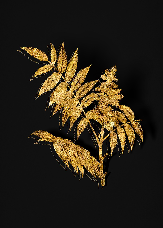 Gold Floral on Black