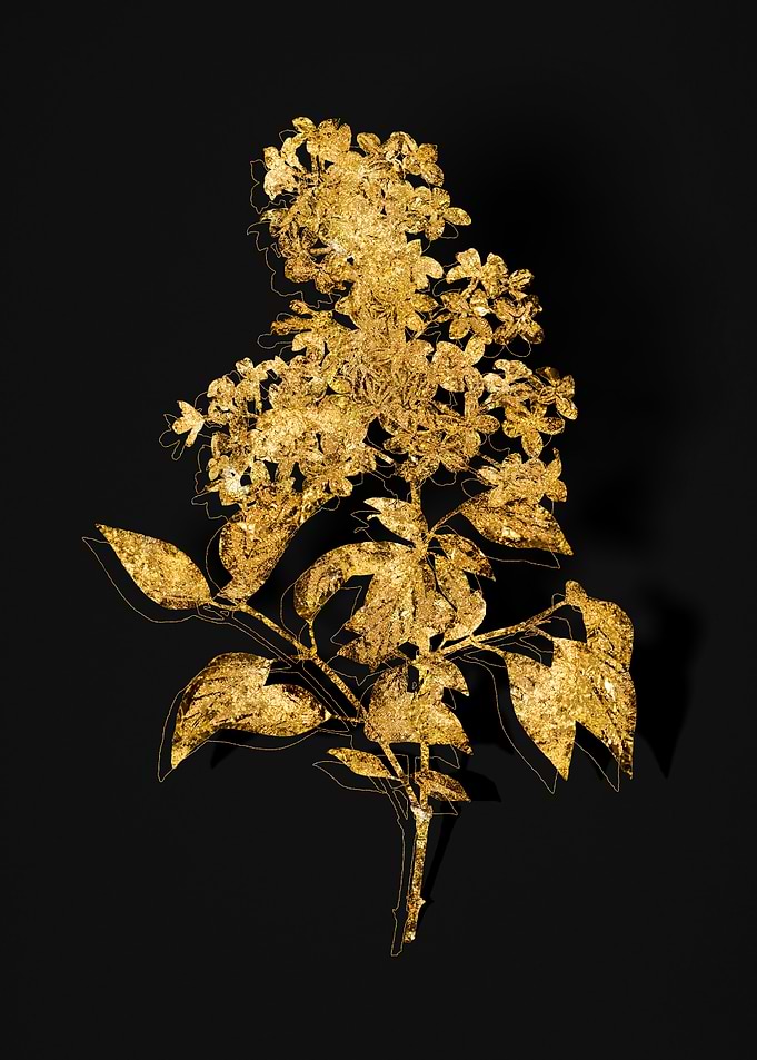 Gold Botanical on Black