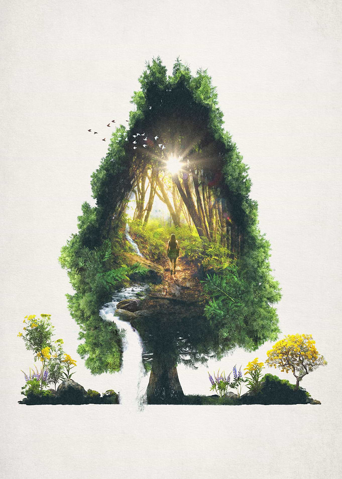 The Road Not Taken
