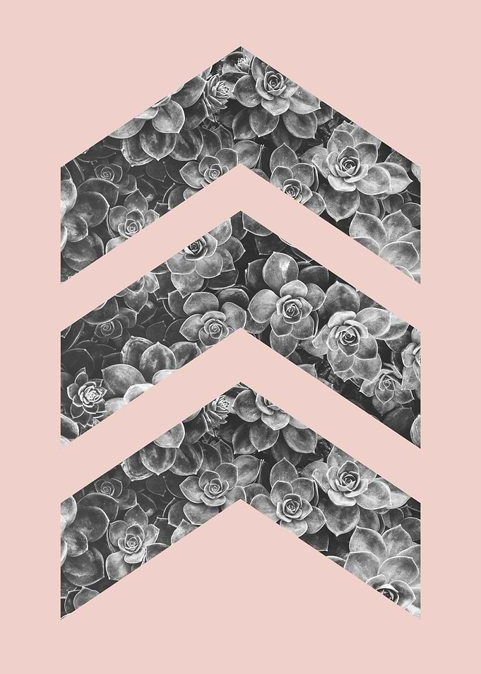 Natural polygon VII