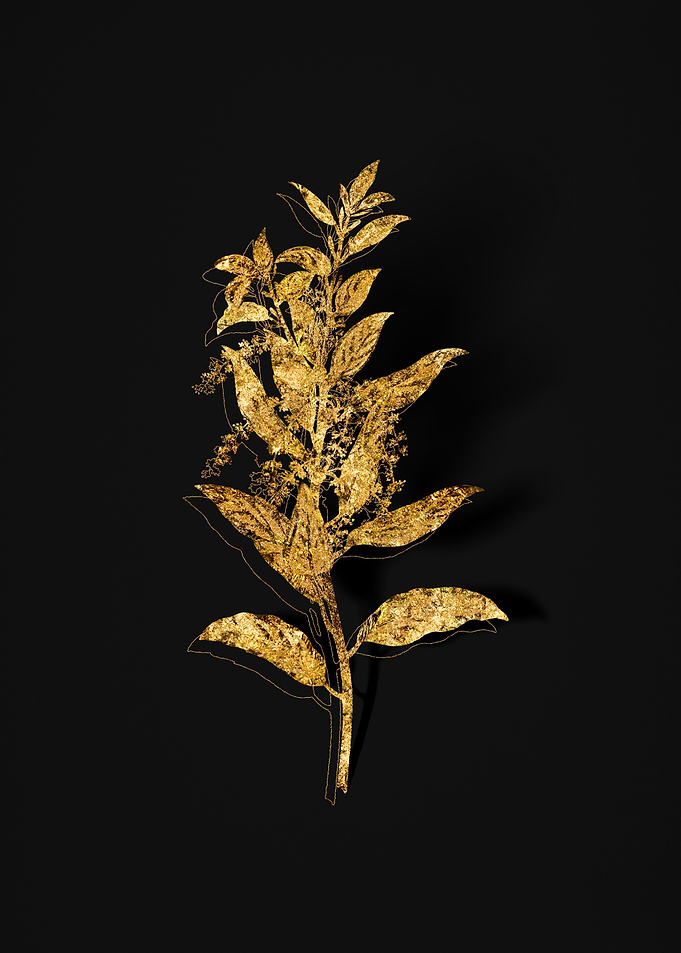 Gold Flora on Black