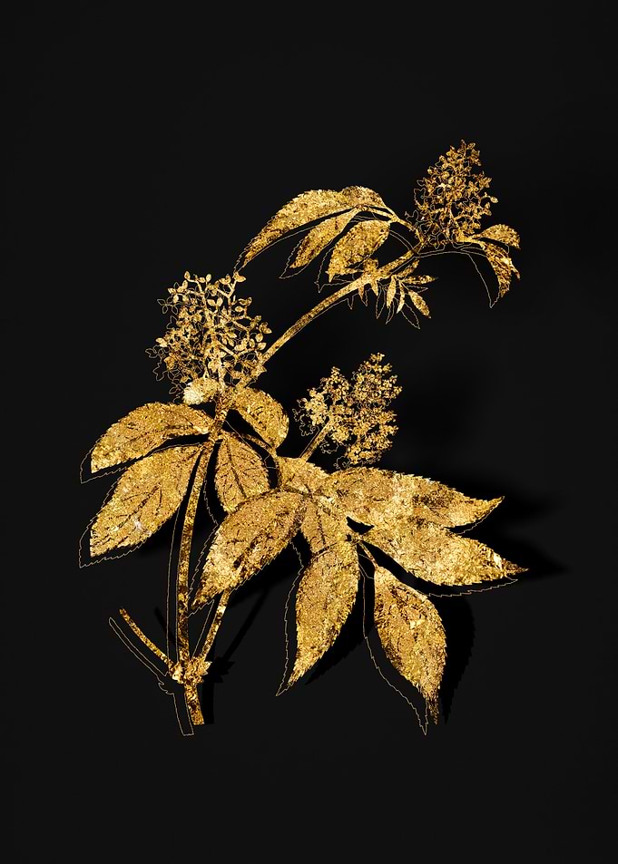 Gold Botanical on Black