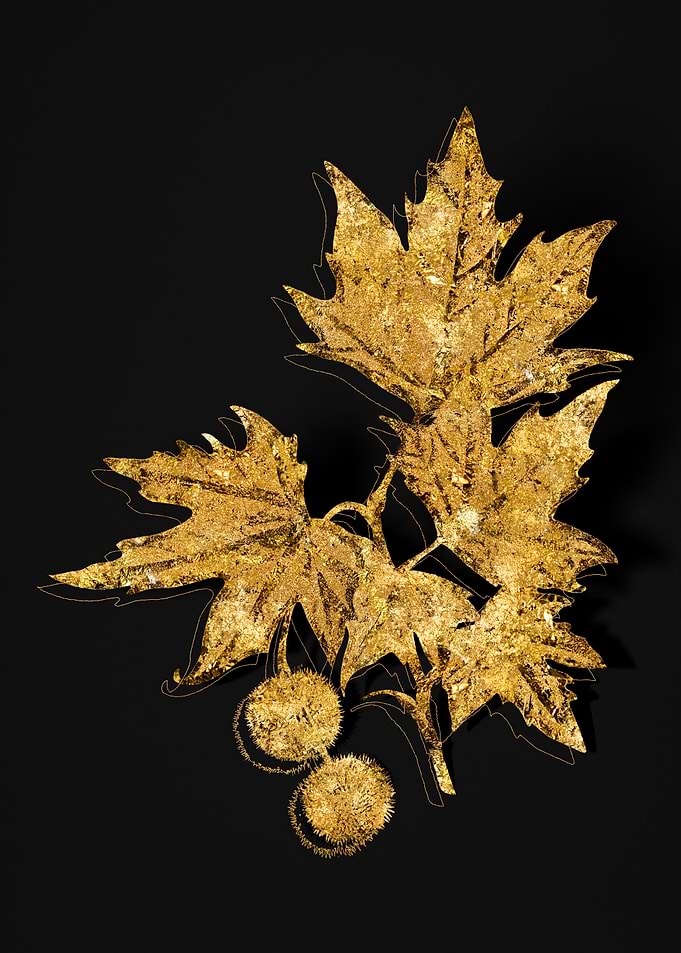 Gold Botanical on Black