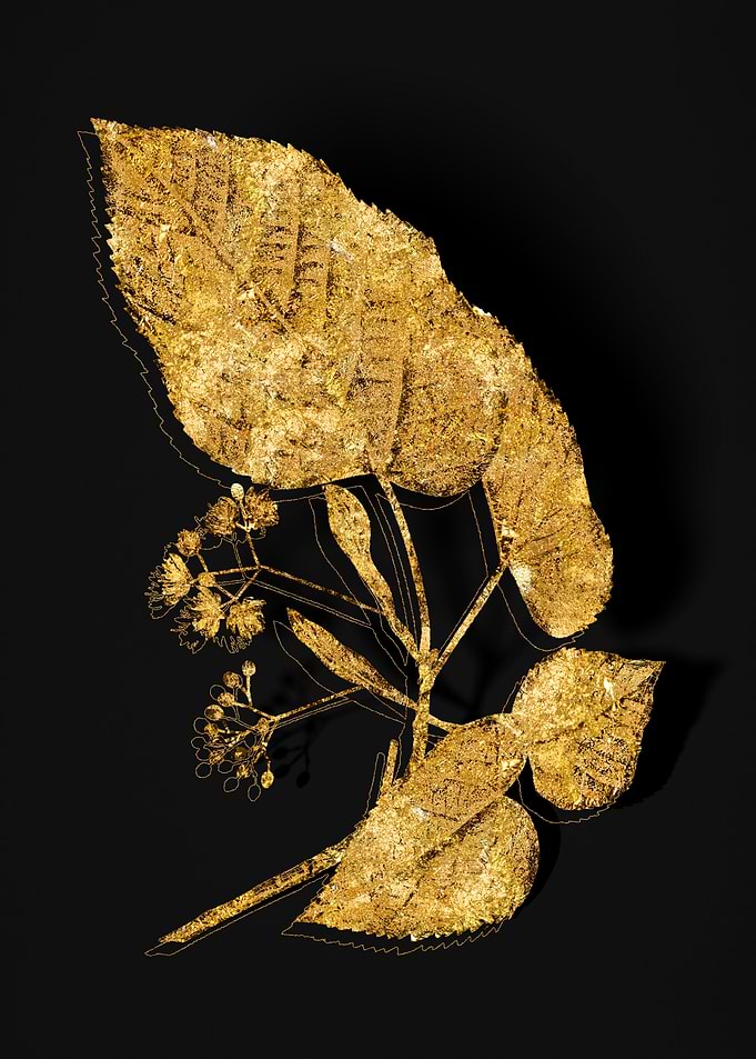 Gold Flora on Black