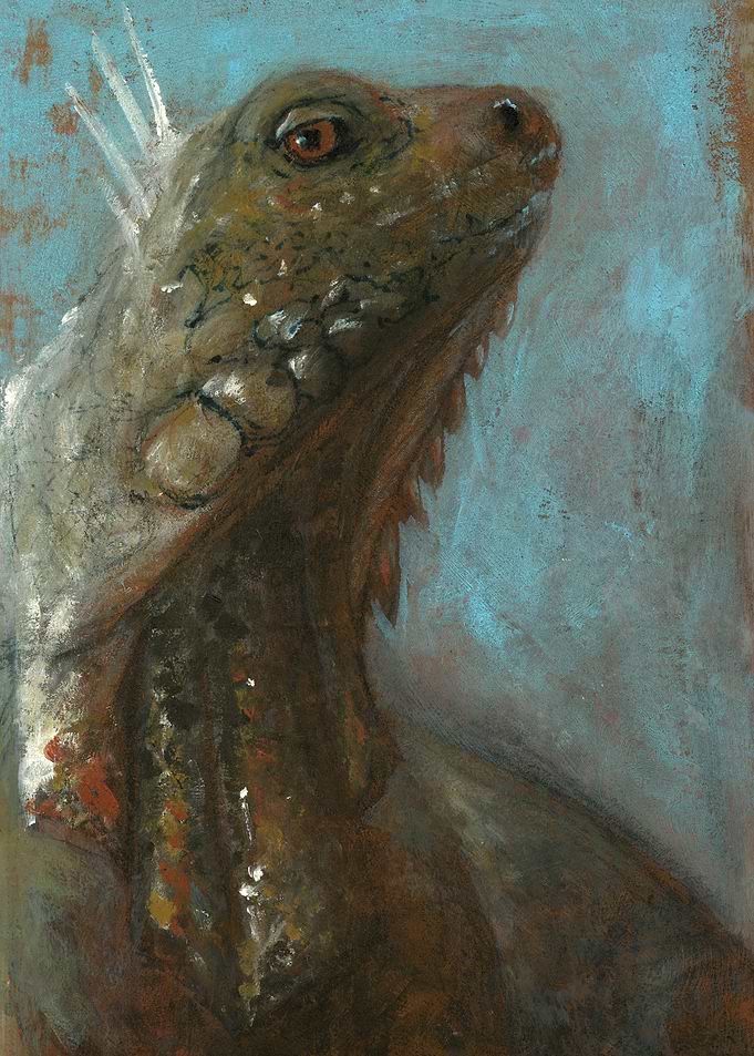 iguana
