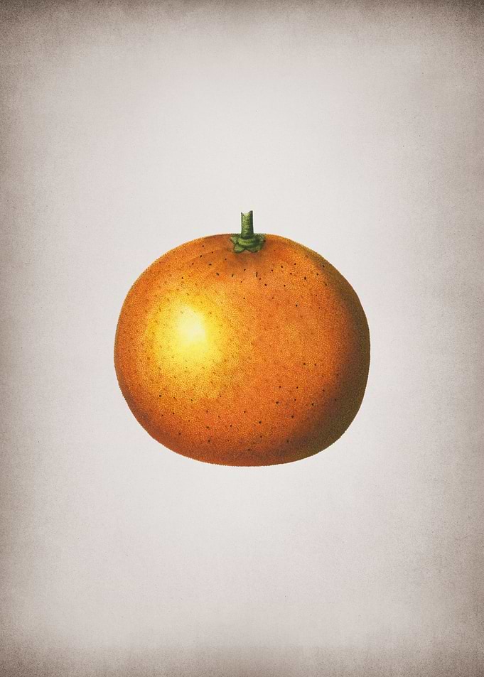 Vintage Orange