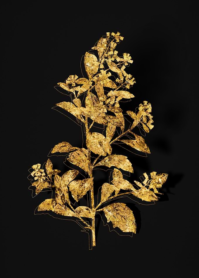 Gold Flora on Black