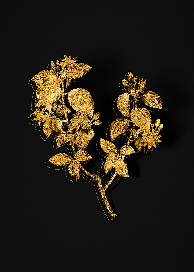 Gold Botanical on Black