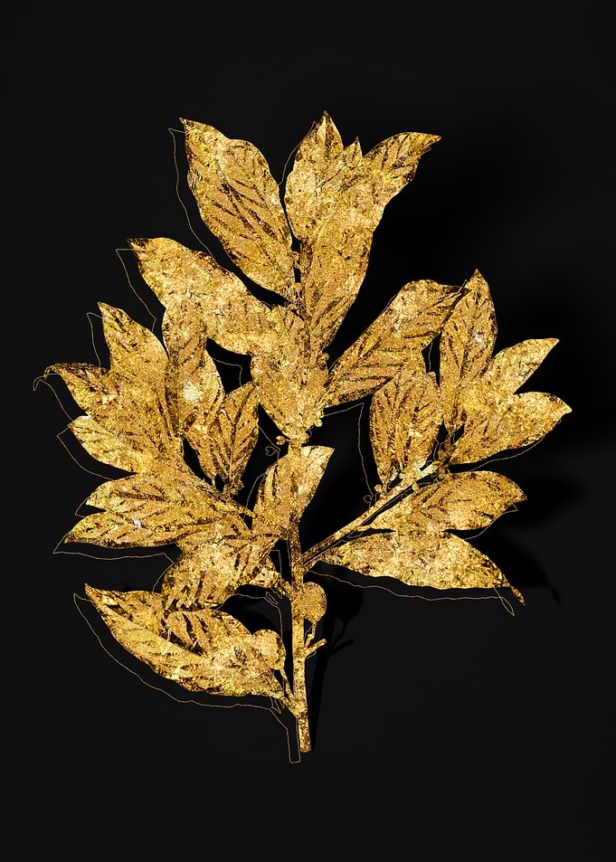 Gold Flora on Black
