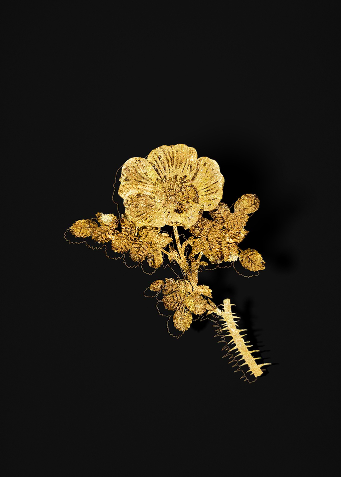 Gold Floral on Black