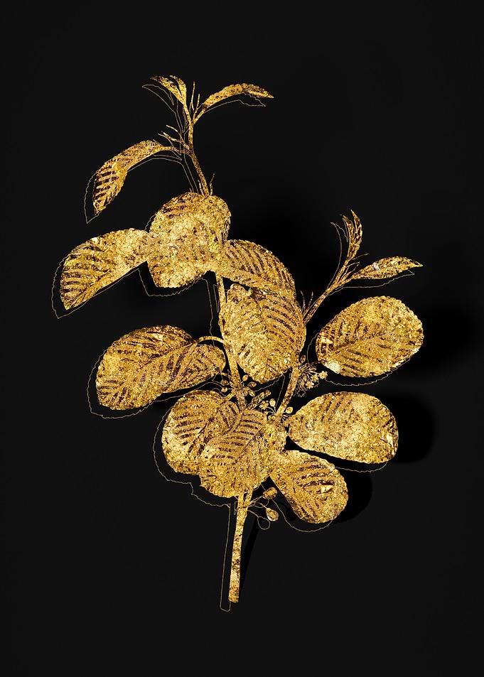 Gold Flora on Black