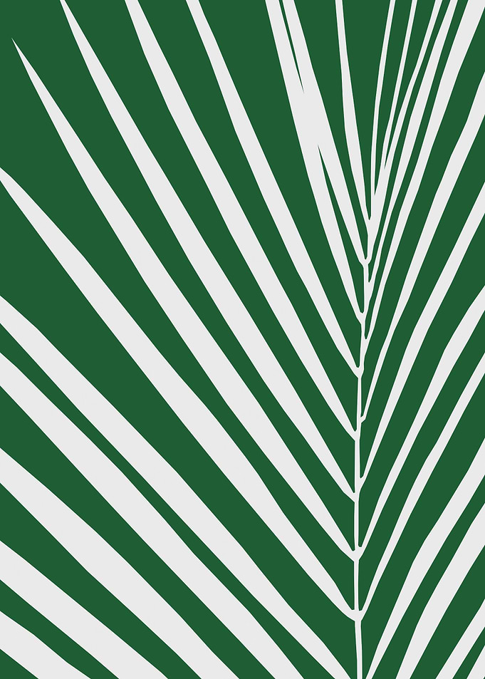 Colorful tropical leaf II