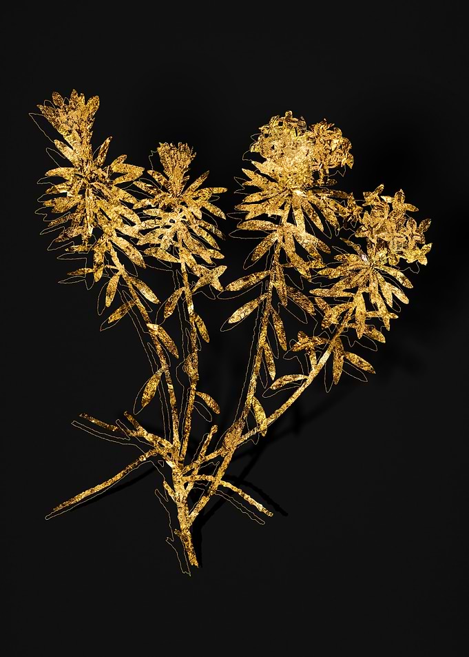 Gold Flora on Black