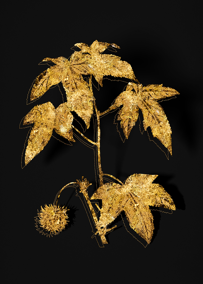 Gold Flora on Black
