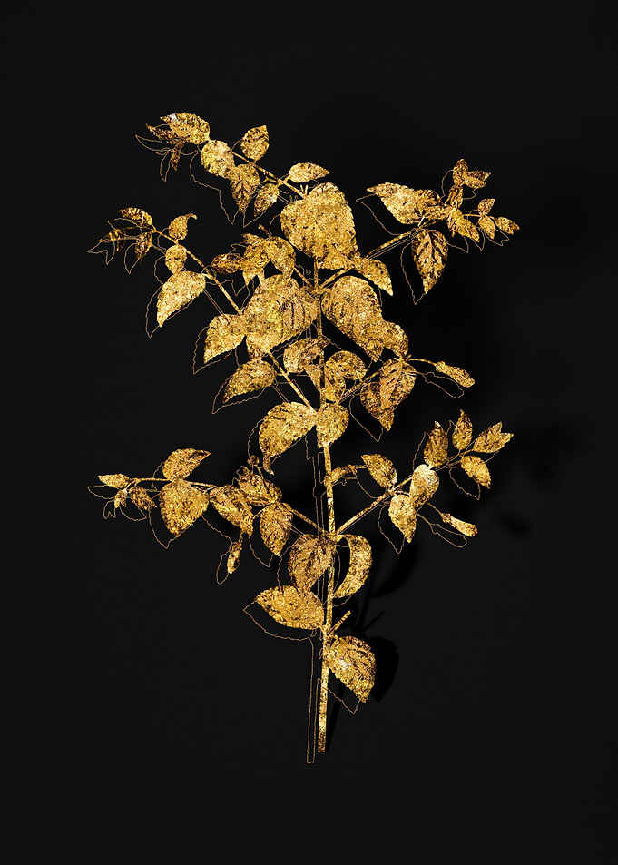 Gold Floral on Black