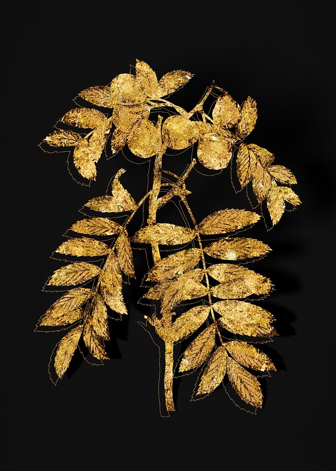 Gold Floral on Black
