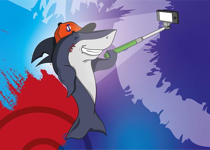 Sharkelfie