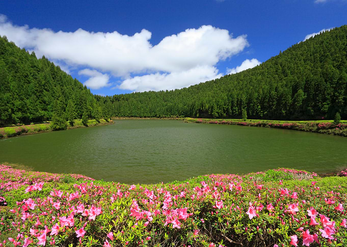 Empadadas Lakes