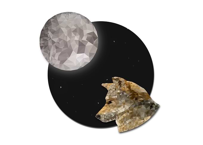 Wolf and Moon