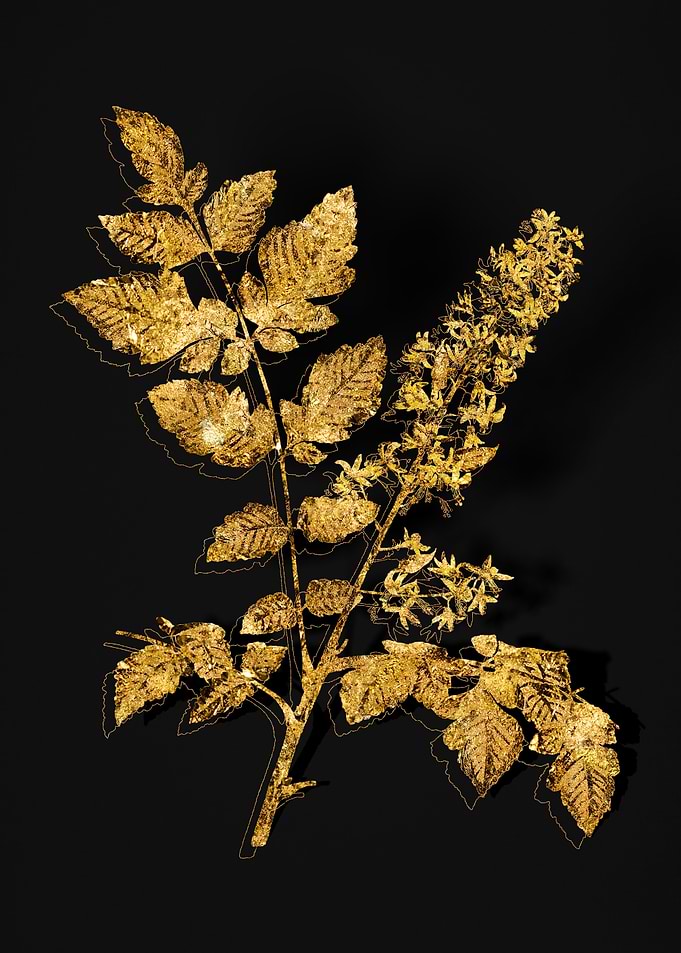 Gold Flora on Black