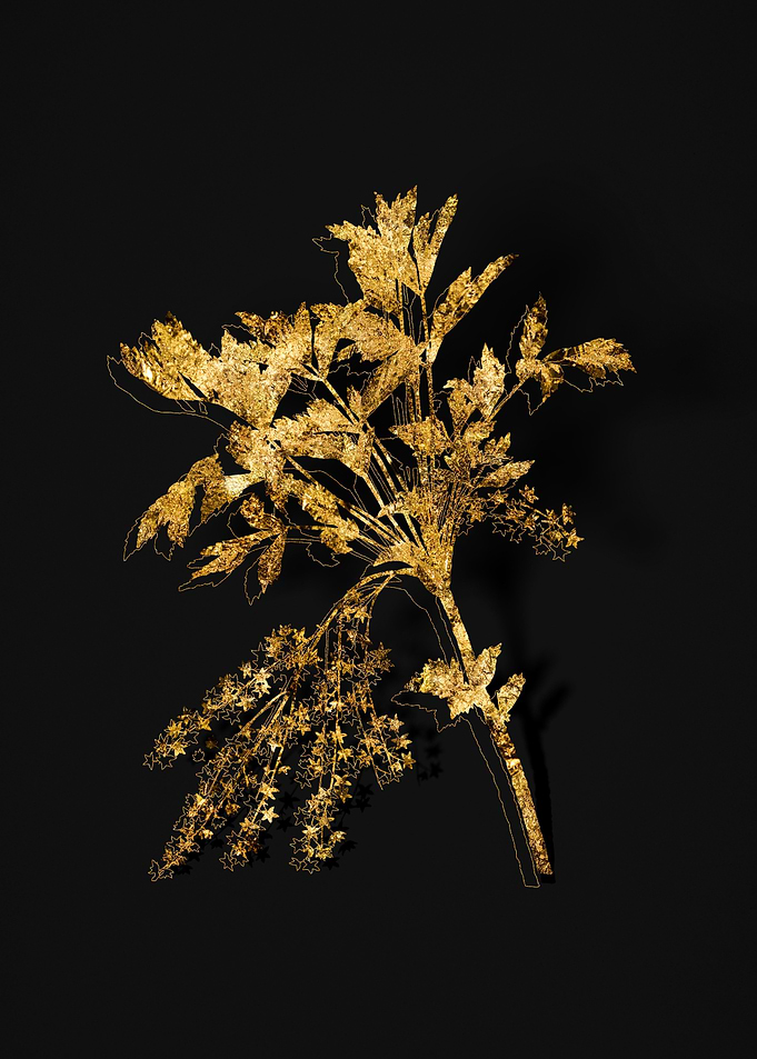 Gold Floral on Black