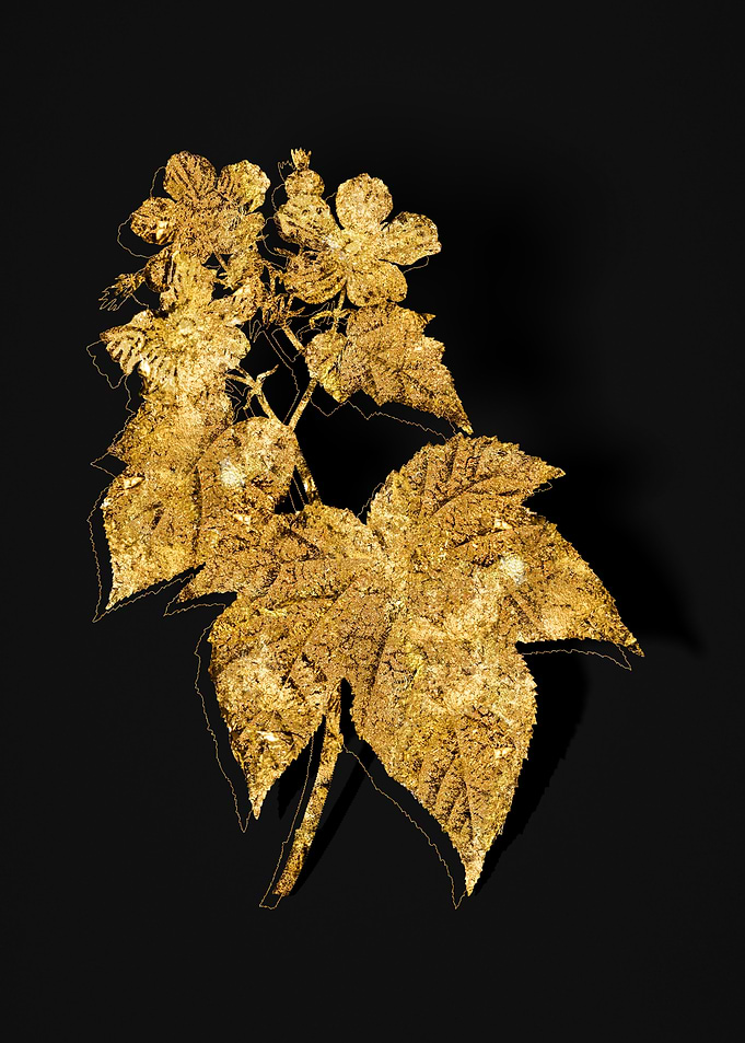 Gold Botanical on Black