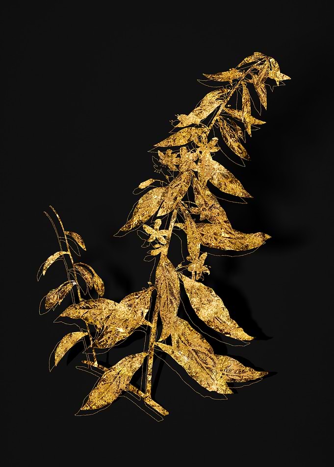 Gold Flora on Black