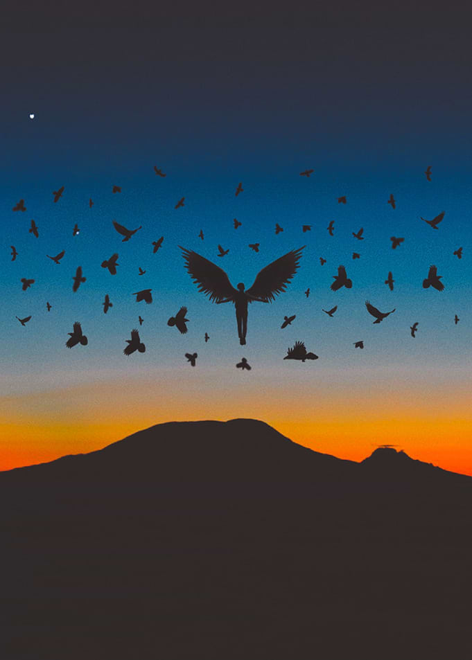 silhouette winged man
